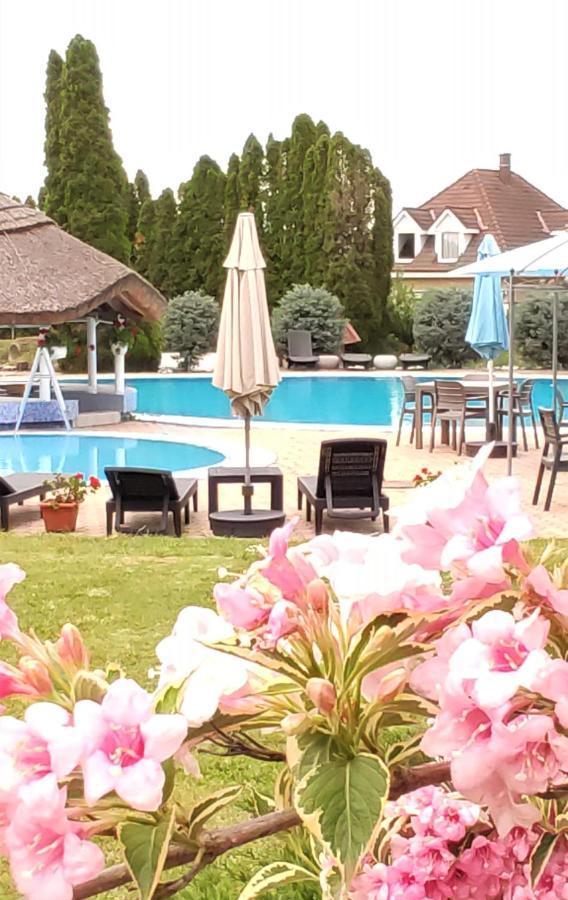 Helena Stúdió Apartman Siófok Exterior foto